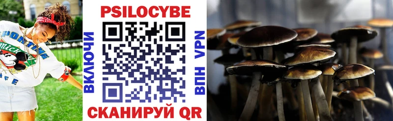 Галлюциногенные грибы MAGIC MUSHROOMS  МЕГА как зайти  Заинск  закладка 